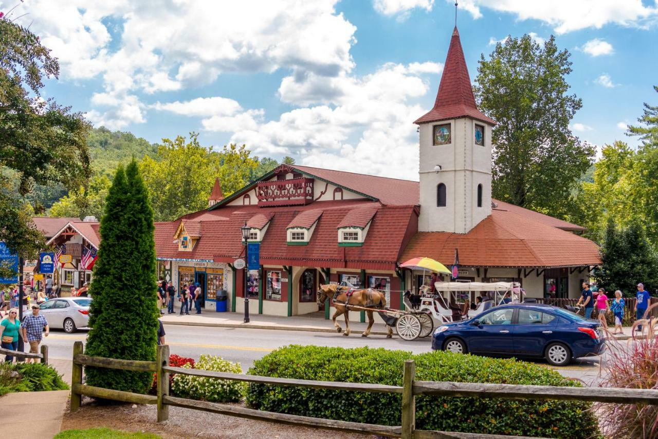Timber Top Sautee Nacoochee エクステリア 写真
